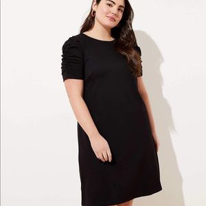 Loft Ruched Sleeve Ponte Dress